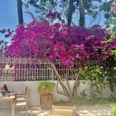 Carikci Hotel Marmaris Exterior photo