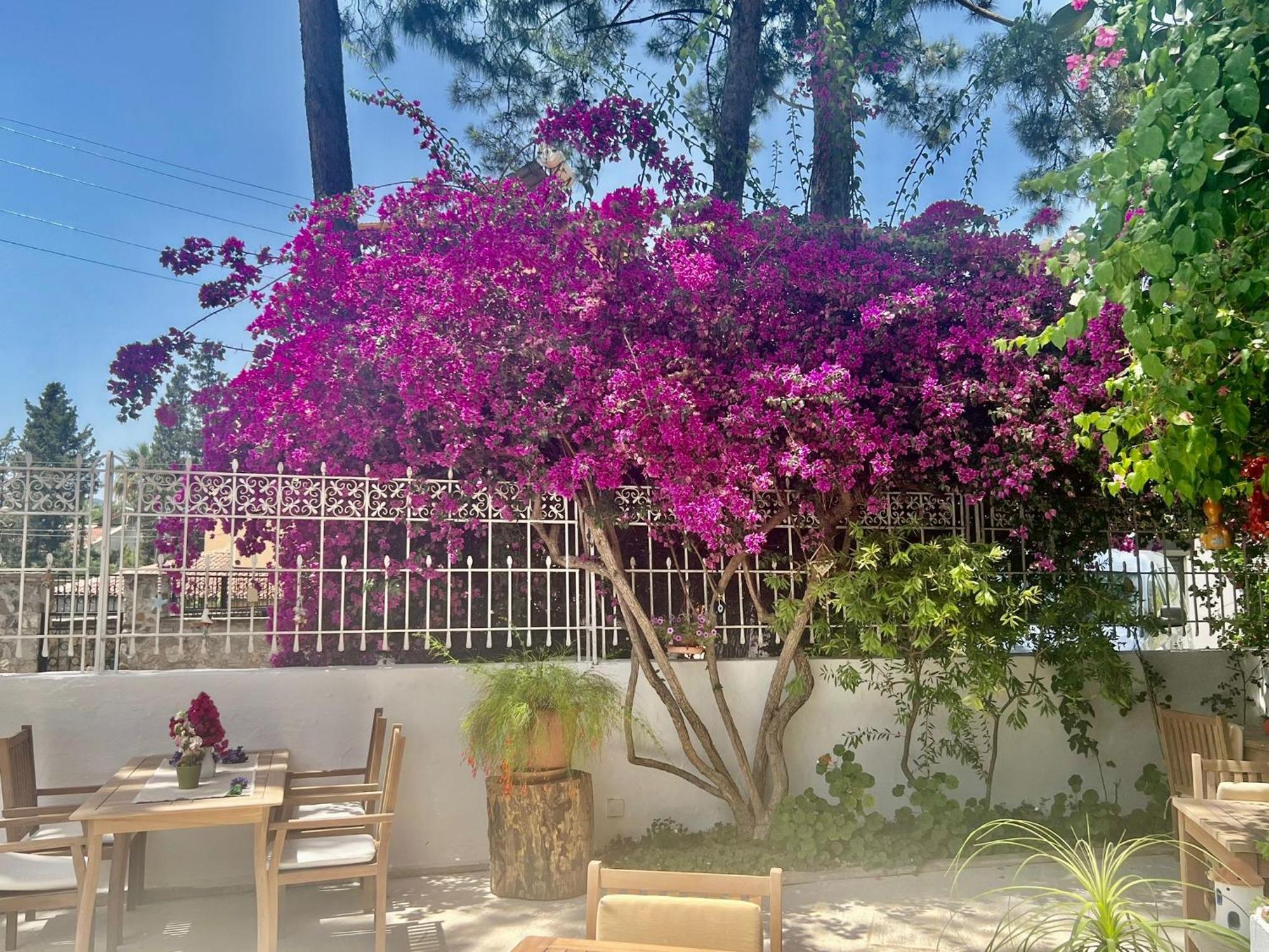 Carikci Hotel Marmaris Exterior photo